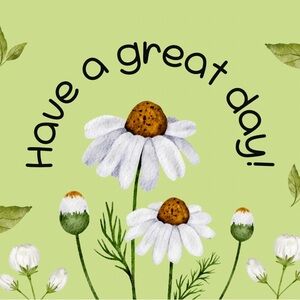 Have a Beautiful day !